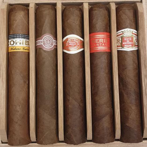 Lot 230 - Seleccion Robustos