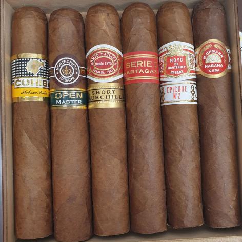 Lot 231 - Seleccion Robustos 