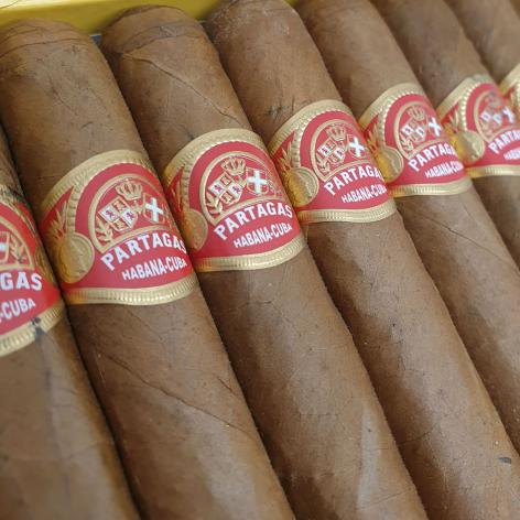 Lot 234 - Partagas Shorts 