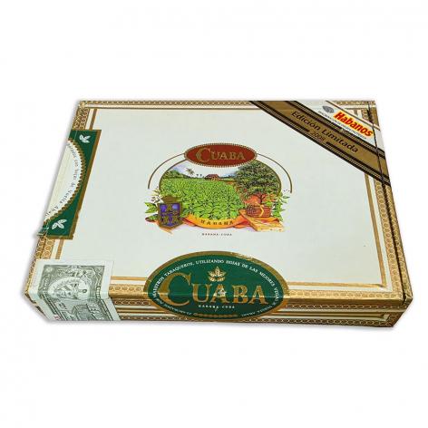 Lot 234 - Cuaba  Piramides 