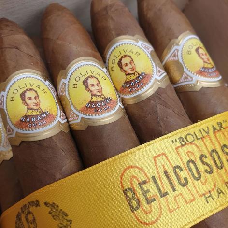 Lot 23 - Bolivar Belicosos Finos 