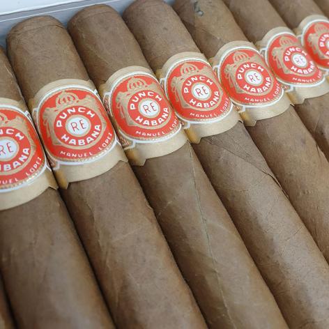 Lot 241 - Punch Punch Punch