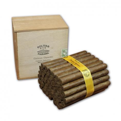 Lot 11 - Bolivar Coronas Gigantes