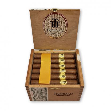 Lot 248 - Trinidad Reyes