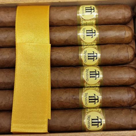 Lot 248 - Trinidad Reyes