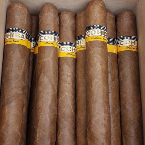 Lot 24 - Cohiba Siglo VI