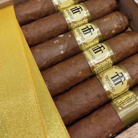 Lot 251 - Trinidad Reyes