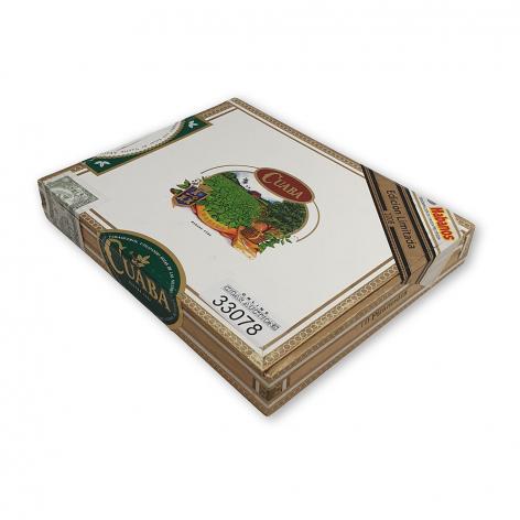 Lot 253 - Cuaba Piramides 