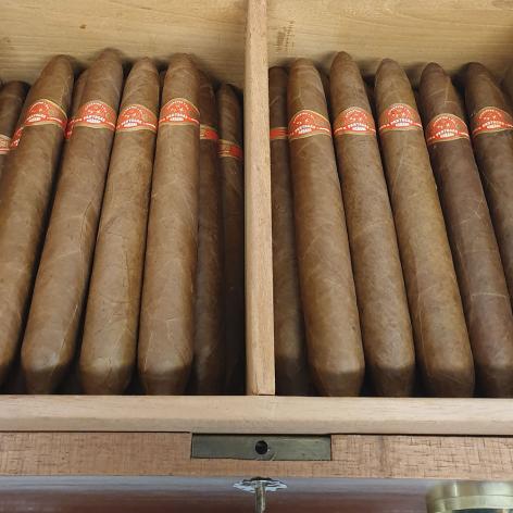 Lot 253 - Partagas Salomones