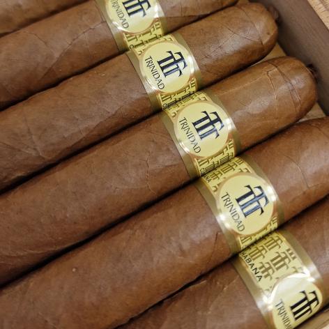 Lot 256 - Trinidad Robustos T