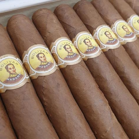 Lot 25 - Bolivar Coronas Gigantes 