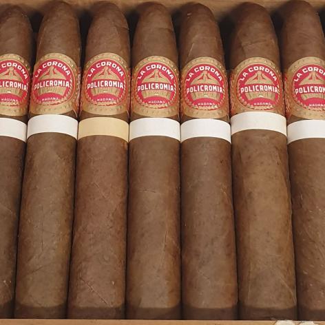 Lot 260 - La Corona Policromia White