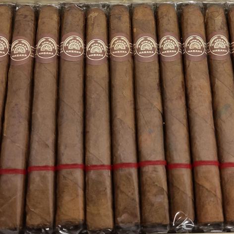Lot 260 - H. Upmann Petit Upmann