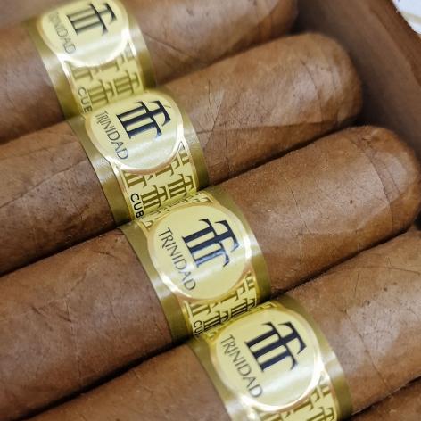 Lot 262 - Trinidad Robustos T