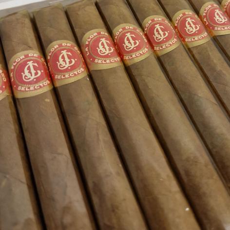Lot 264 - La Flor de Cano Selectos