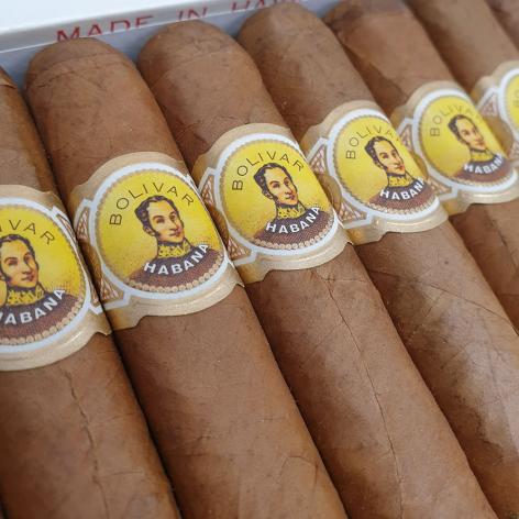 Lot 26 - Bolivar Coronas Junior 