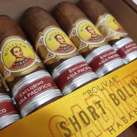 Lot 270 - Bolivar Short Bolivar 
