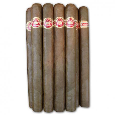 Lot 276 - Dunhill H.Upmann Seleccion No.50