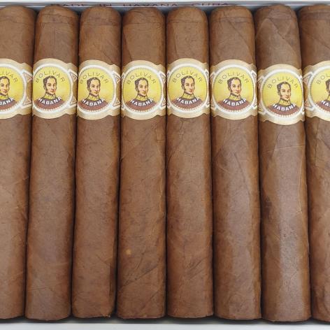 Lot 27 - Bolivar Coronas Junior 