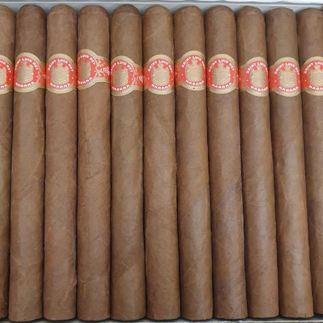 Lot 284 - Saint Luis Rey Churchills