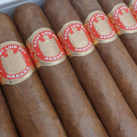 Lot 289 - Saint Luis Rey Regios