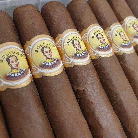 Lot 28 - Bolivar Coronas Junior 