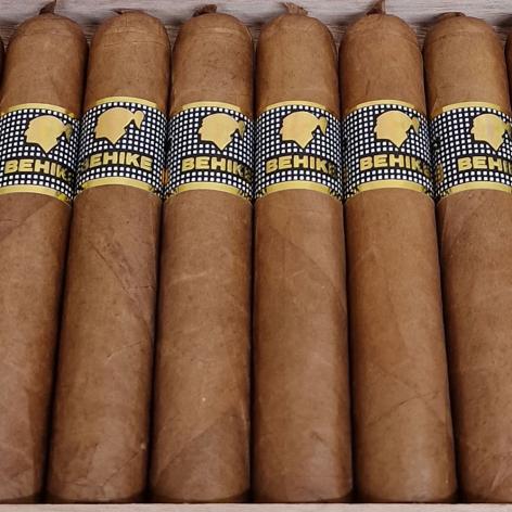 Lot 291 - Cohiba Behike 52
