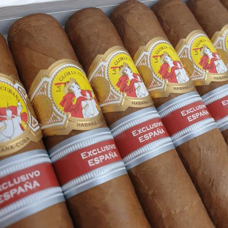 Lot 292 - La Gloria Cubana Serie D No.5