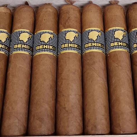 Lot 292 - Cohiba Behike 52