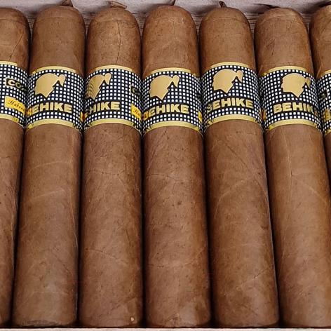 Lot 293 - Cohiba Behike 52