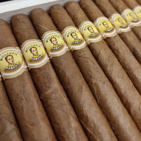 Lot 29 - Bolivar Lonsdales