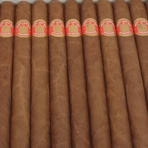 Lot 300 - Saint Luis Rey Churchills