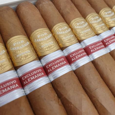 Lot 301 - Por Larranaga Lonsdales