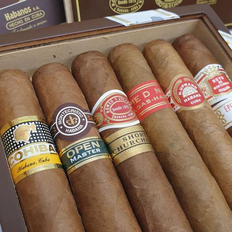 Lot 301 - Seleccion Robustos 