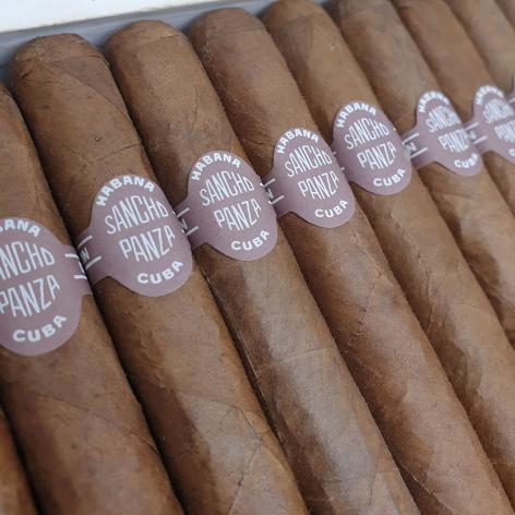 Lot 301 - Sancho Panza Bachilleres