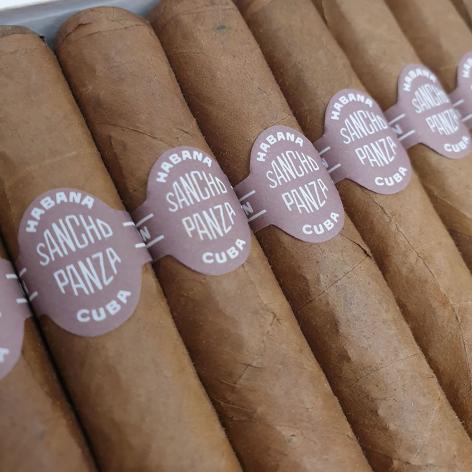 Lot 302 - Sancho Panza Bachilleres