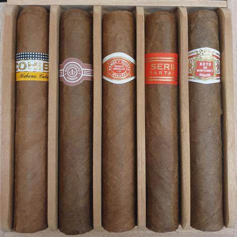 Lot 303 - Seleccion Robustos 