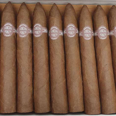 Lot 304 - Sancho Panza Belicosos 