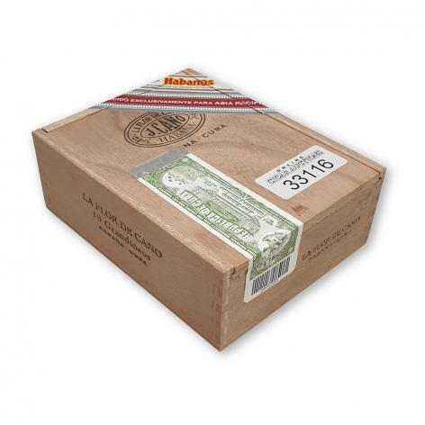 Lot 305 - La Flor de Cano Grandiosos 