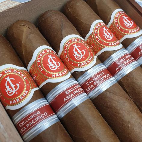 Lot 305 - La Flor de Cano Grandiosos 