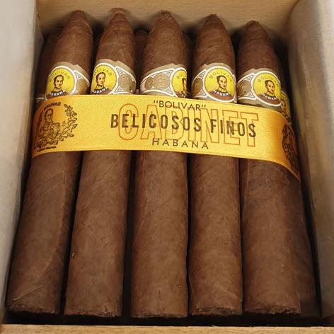 Lot 305 - Bolivar Belicosos Finos