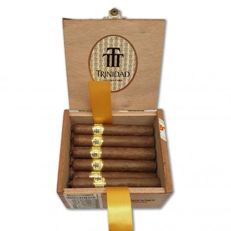 Lot 306 - Trinidad Reyes 