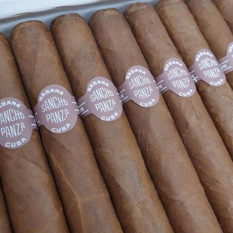 Lot 306 - Sancho Panza Molinos 