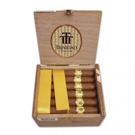 Lot 307 - Trinidad Reyes 