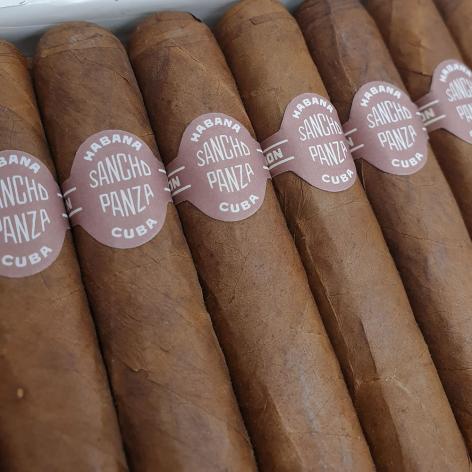 Lot 307 - Sancho Panza Non Plus