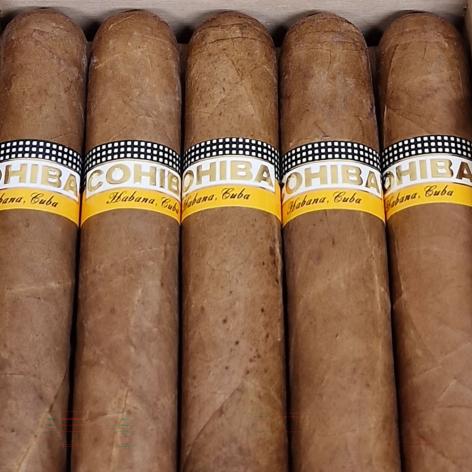 Lot 307 - Cohiba Siglo VI