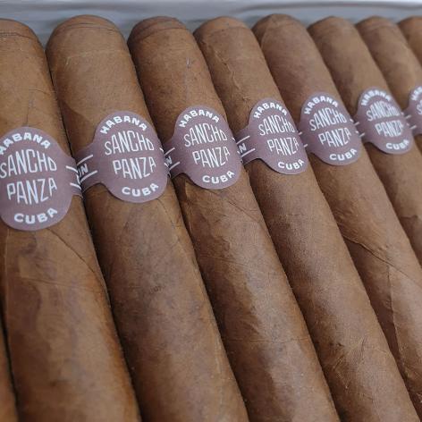 Lot 308 - Sancho Panza Non Plus