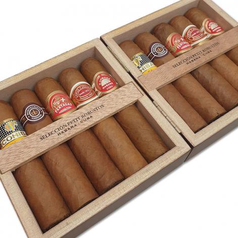 Lot 309 - Seleccion Petit Robustos