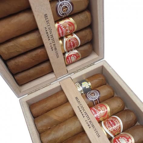 Lot 310 - Seleccion Petit Robustos