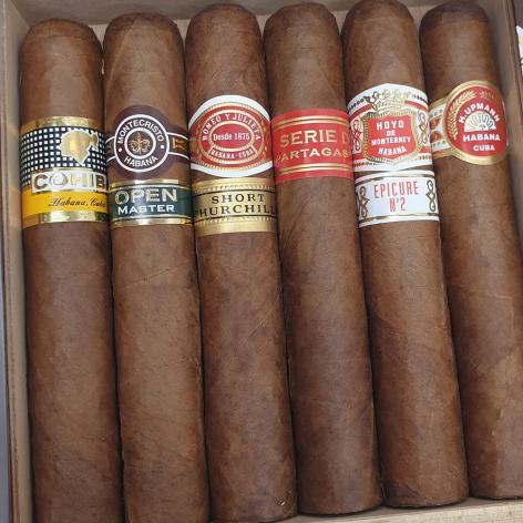 Lot 316 - Seleccion Robustos 